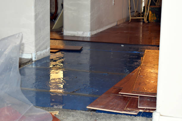 Professional Sewage Cleanup technician working in Capron, IL